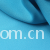 浙江振越进出口有限公司-75D佳丽纱