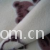绍兴加佳乐针纺有限公司-印花摇粒绒 