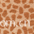 JIANGSU LIJU PRINTING AND DYEING CO.,LTD.-珊瑚绒 