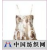宁波市鄞州诺尔曼服饰制衣厂 -NEM021吊带衫