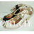 广州丽度鞋业有限公司-加盟 品牌鞋 名牌鞋 流行女鞋 富尔贝妮
