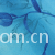 浙江诸暨同创工贸有限公司-化纤印染坯布 