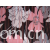 吉仁信���������S-TRICO FABRIC 