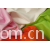 吴江市罗锦纺织品有限公司-50*75弹力花瑶绉 