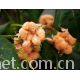 JC90-10-40S-