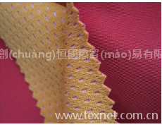 三合一系列功能性復(fù)合面料 點(diǎn)擊查看大圖