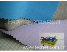 熱熔/膠點功能性復合面料系列 點擊查看大圖
