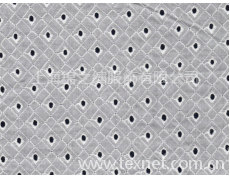 刺繡面料 點擊查看大圖