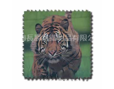 印花紙 點擊查看大圖