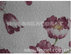窗簾布 點擊查看大圖
