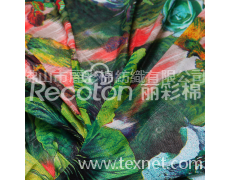 網布印花 點擊查看大圖