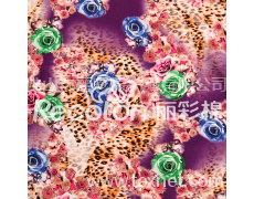 羅馬印花 點擊查看大圖