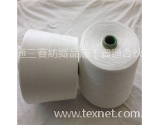 滌綸短纖紗 點擊查看大圖
