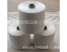 滌綸短纖紗 點擊查看大圖