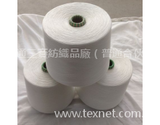滌綸短纖紗 點(diǎn)擊查看大圖