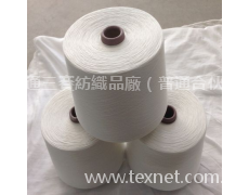滌綸短纖紗 點擊查看大圖