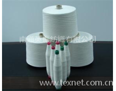 環(huán)錠紡滌棉 點(diǎn)擊查看大圖