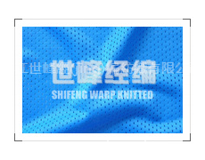 11*1長絲網(wǎng)布 點擊查看大圖