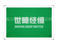 彈絲網布 點擊查看大圖