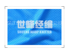 11*1長絲網布 點擊查看大圖