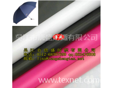 RPET雨傘面料（210T） 點擊查看大圖