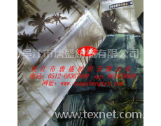 RPET桃皮絨面料 點擊查看大圖