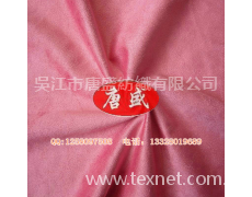 RPET壓花麂皮絨面料 點擊查看大圖