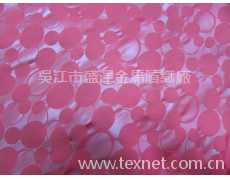壓花雙面絨 點(diǎn)擊查看大圖