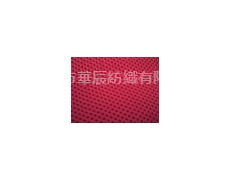 網(wǎng)眼布 點(diǎn)擊查看大圖