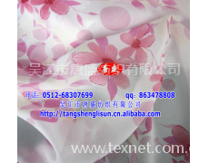 RPET雪纺面料（女装面料） 点击查看大图