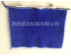 長(zhǎng)毛貂 點(diǎn)擊查看大圖