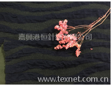 滌蓋棉汗布 點擊查看大圖