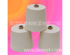 蘭精天絲G100 40支 點擊查看大圖