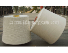 蘭精天絲A100 21支 點擊查看大圖