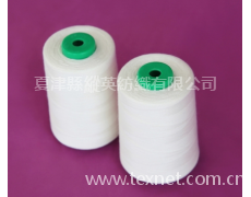 莫代爾系列紗線45s 點擊查看大圖