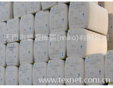 皮棉 點(diǎn)擊查看大圖