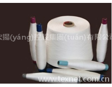 陽離子改性滌綸（CDP）與粘膠（R）混紡竹節(jié)紗 點(diǎn)擊查看大圖