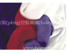 異型截面合成纖維閃光紗 點(diǎn)擊查看大圖