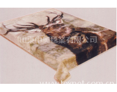 毛毯 點擊查看大圖