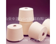 滌棉紗CVC55/45普梳21S 點(diǎn)擊查看大圖