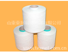 滌棉紗（普梳） 點(diǎn)擊查看大圖