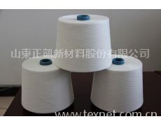 TR反捻紗 點擊查看大圖