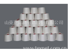 滌粘反捻紗 點(diǎn)擊查看大圖