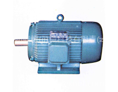 Y系列三相異步電動(dòng)機(jī) 點(diǎn)擊查看大圖