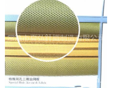 特殊網孔三明治網眼 點擊查看大圖