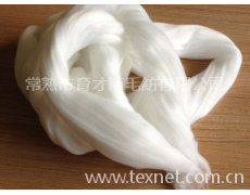 滌綸毛條 點擊查看大圖