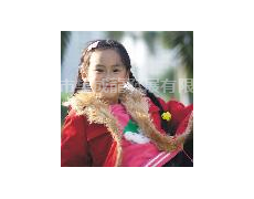 望子成龍童裝 點擊查看大圖