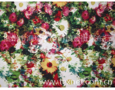 數(shù)碼精品棉 點擊查看大圖