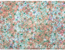 刺繡滿幅面料 點(diǎn)擊查看大圖