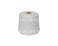 滌棉混紡系列 CVC 75/25 氣流紡 點擊查看大圖